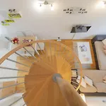 Center Penthouse Apartment